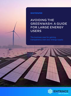 cover whitepaper avoiding the greenwash