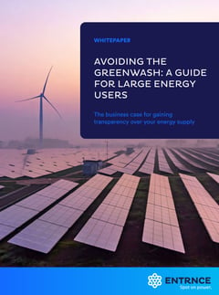 cover whitepaper avoiding the greenwash